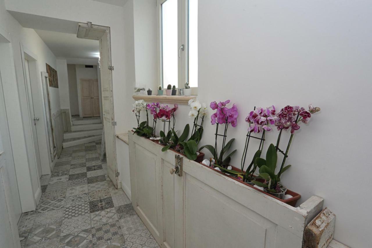 פיצו Angels'Home מראה חיצוני תמונה